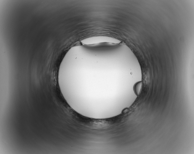 X0000094330666200711301229