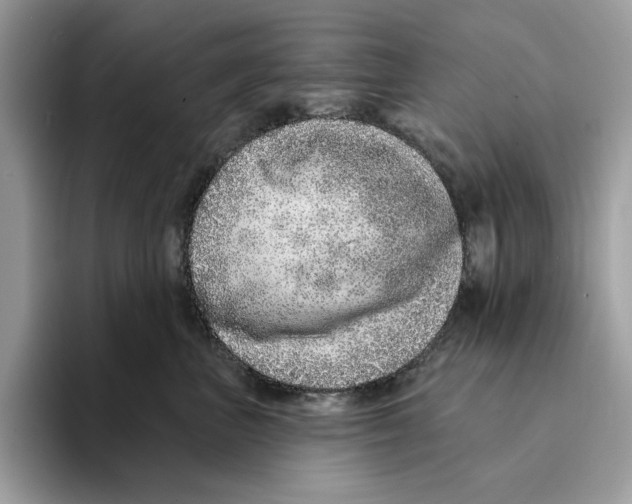 X0000094330667200711301229