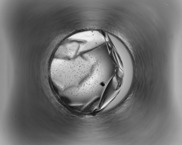 X0000094330673200711301229