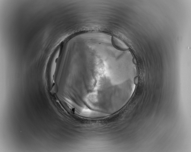 X0000094330674200711301229