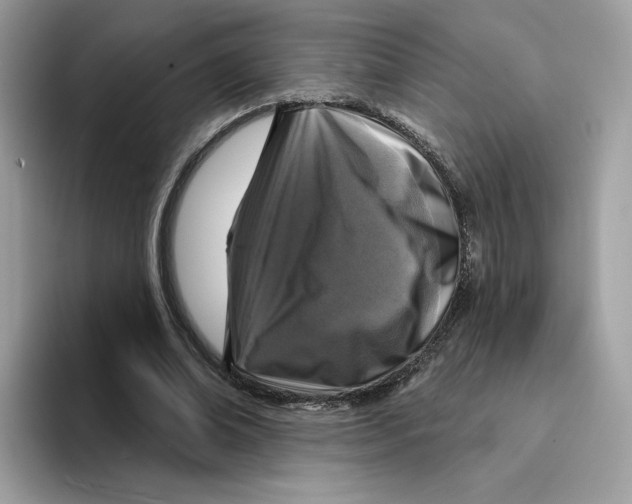 X0000094330678200711301229