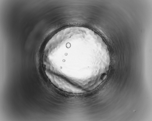 X0000094330679200711301229