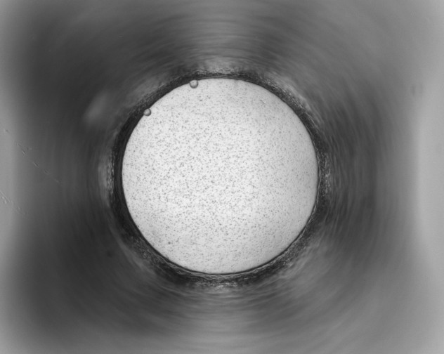 X0000094330683200711301229