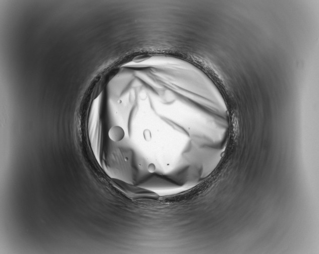 X0000094330684200711301229