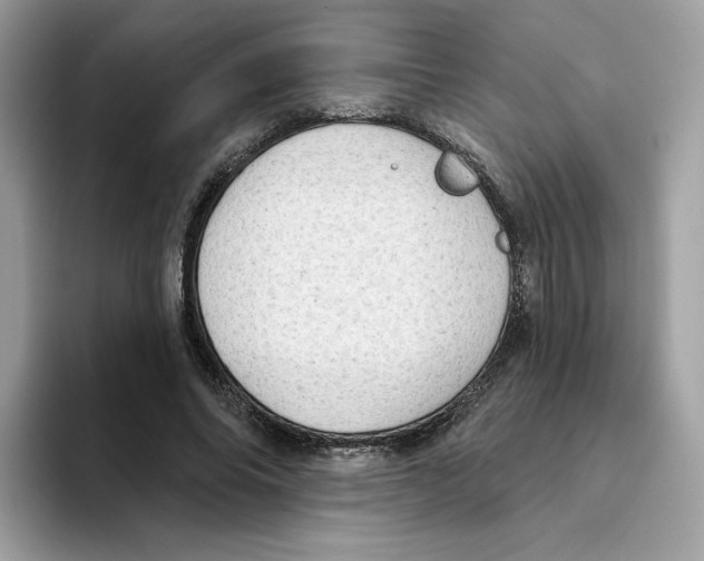 X0000094330686200711301229