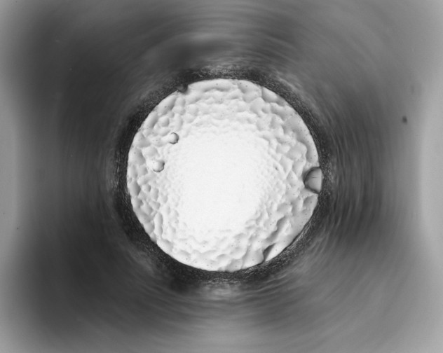 X0000094330691200711301229