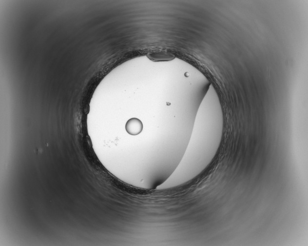 X0000094330693200711301229