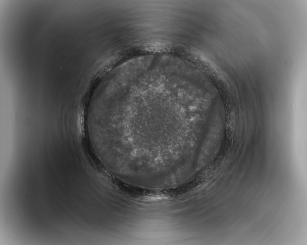 X0000094330696200711301229