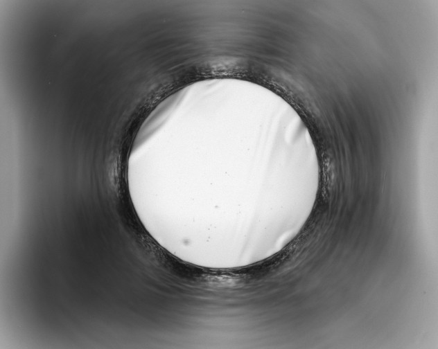 X0000094330698200711301229