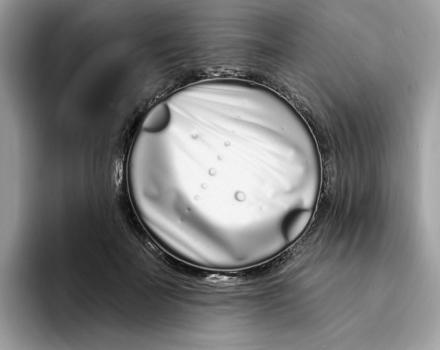 X0000094330699200711301229