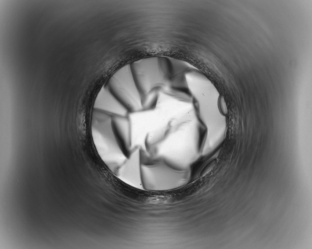 X0000094330700200711301229