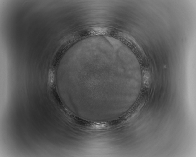 X0000094330701200711301229