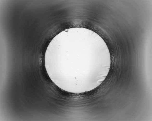 X0000094330702200711301229