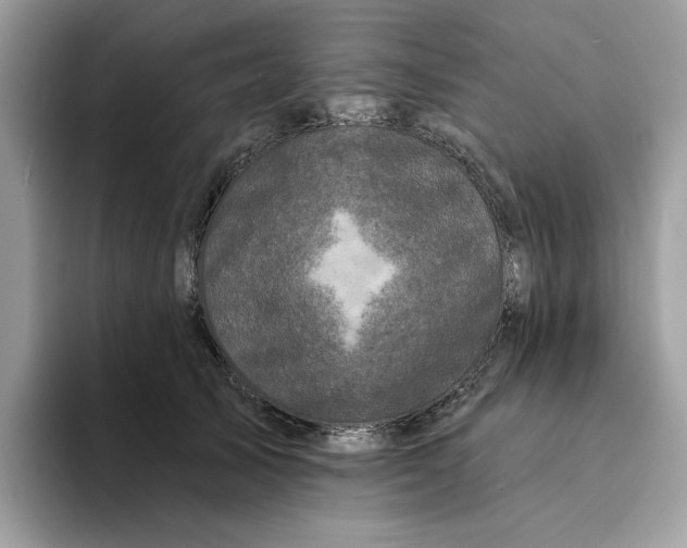 X0000094330705200711301228