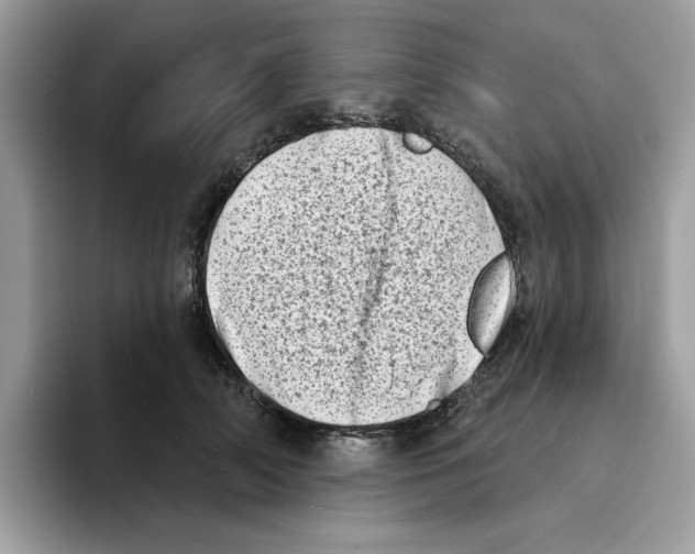 X0000094330706200711301228