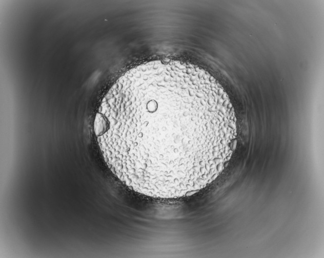 X0000094330707200711301228