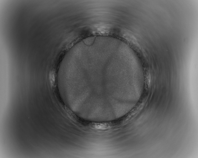 X0000094330709200711301228