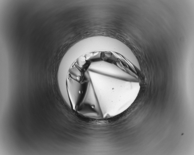 X0000094330711200711301228