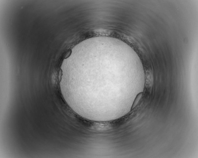 X0000094330713200711301228