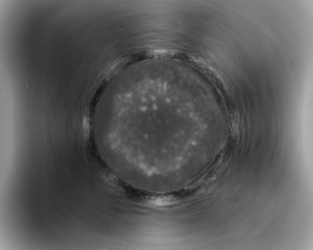 X0000094330716200711301228