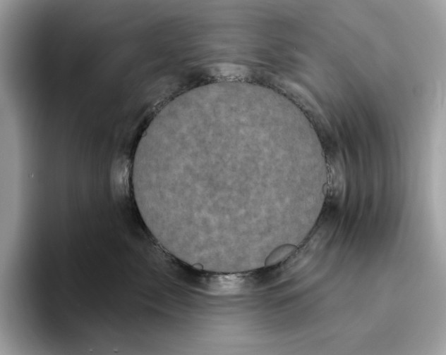 X0000094330717200711301228