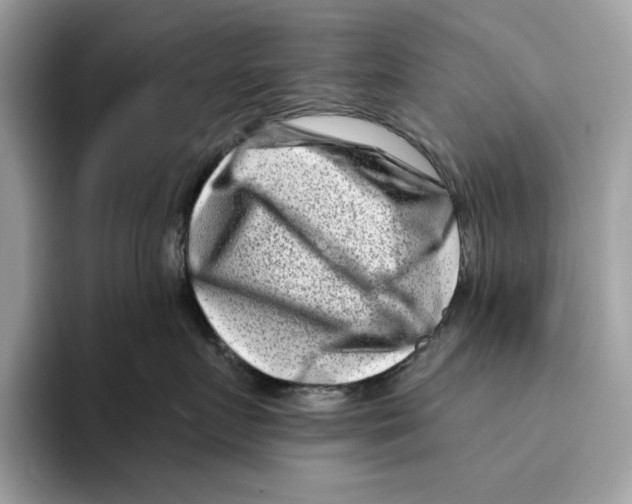 X0000094330719200711301228