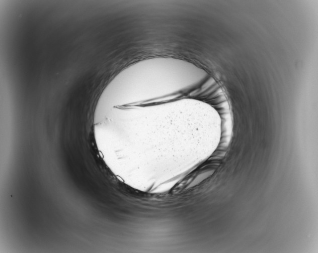 X0000094330720200711301228