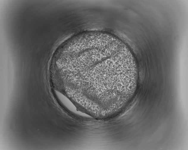 X0000094330721200711301228