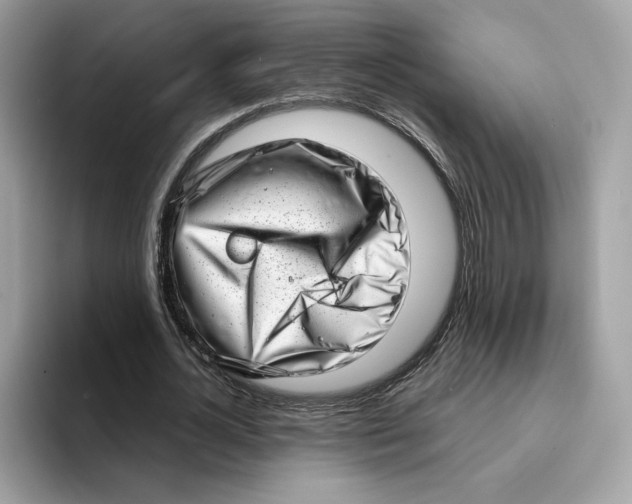 X0000094330724200711301228