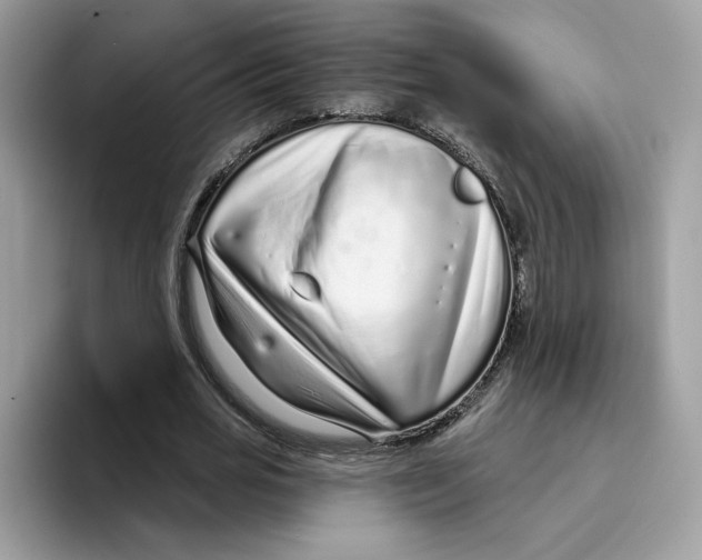 X0000094330725200711301228