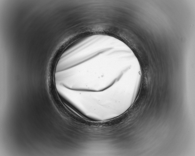 X0000094330728200711301228