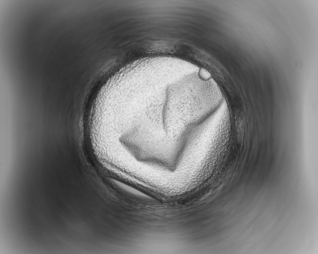 X0000094330729200711301228