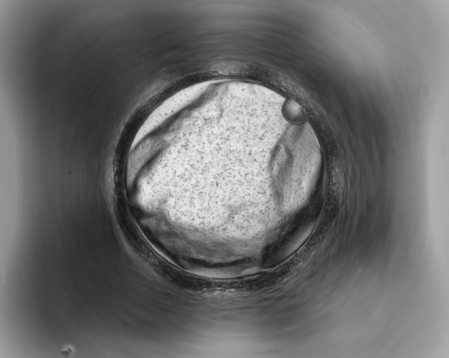 X0000094330730200711301228