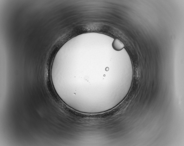 X0000094330733200711301228