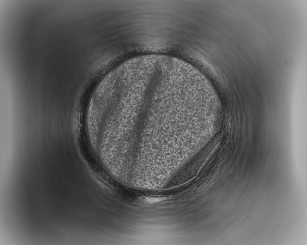 X0000094330736200711301228