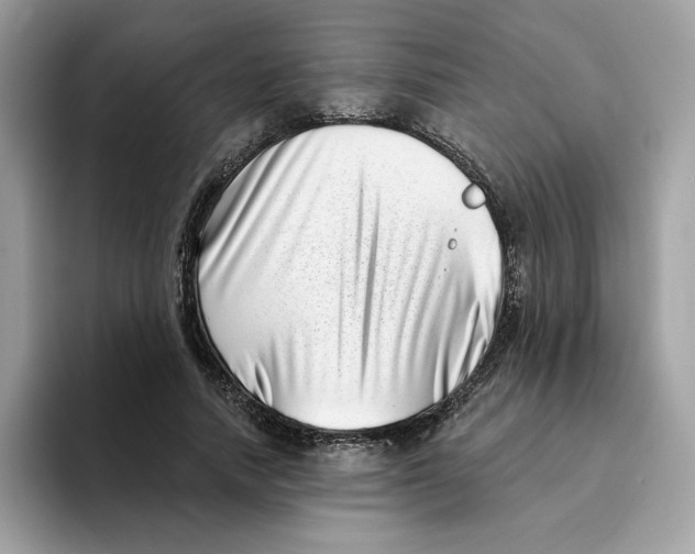 X0000094330738200711301228