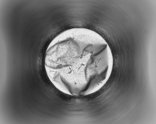 X0000094330739200711301228
