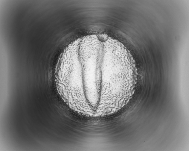 X0000094330745200711301228