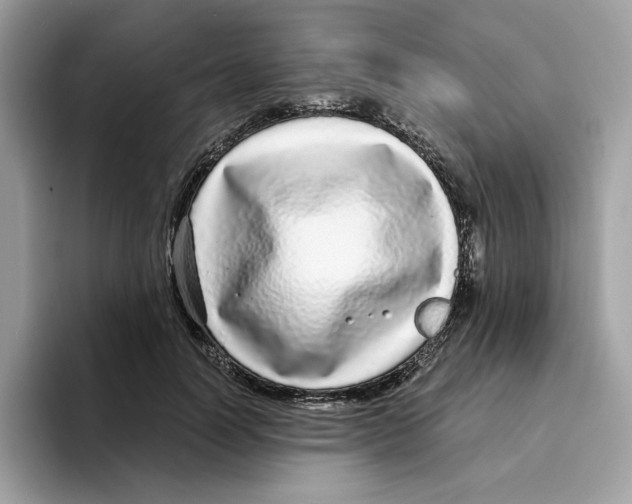 X0000094330746200711301228