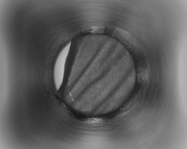 X0000094330748200711301228