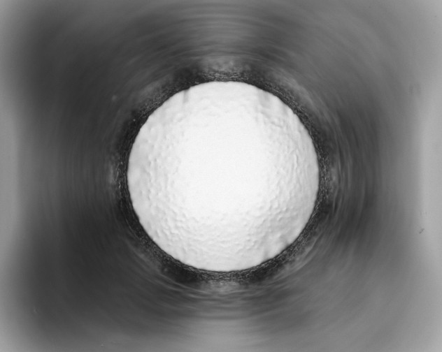 X0000094330749200711301228