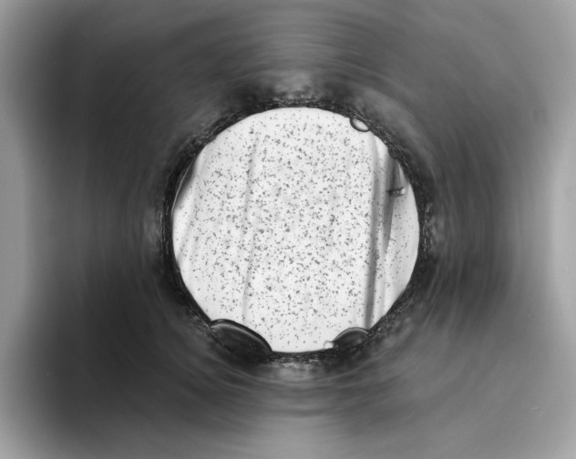 X0000094330756200711301228