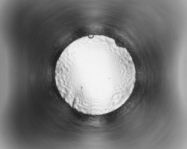 X0000094330757200711301228