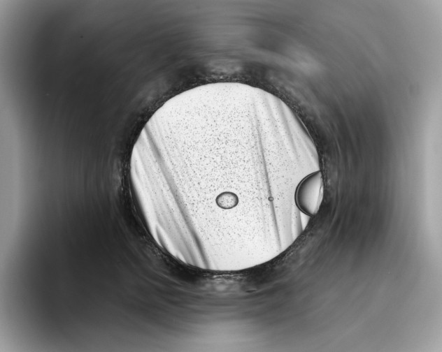 X0000094330758200711301228