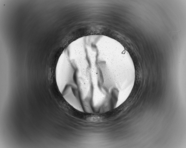 X0000094330759200711301228