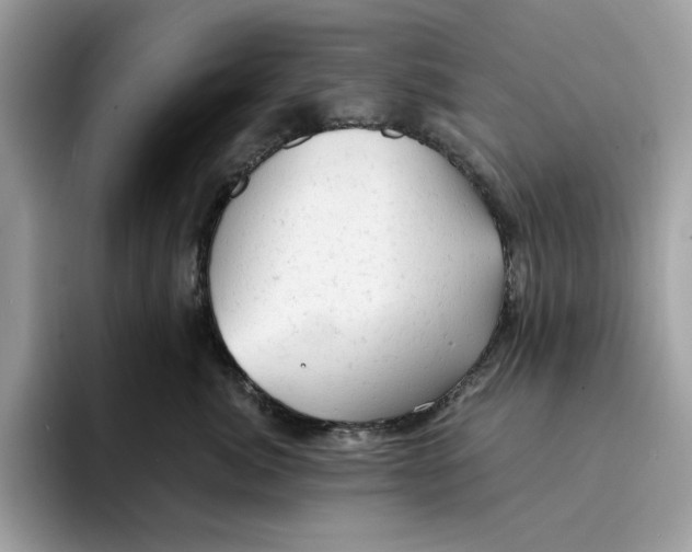 X0000094330764200711301228