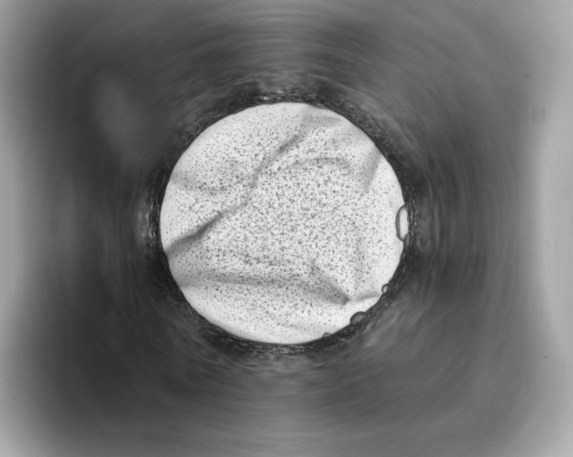 X0000094330770200711301228