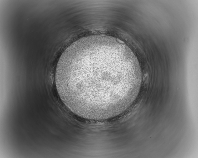 X0000094330772200711301228