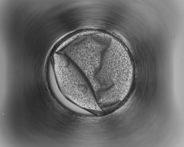 X0000094330779200711301227