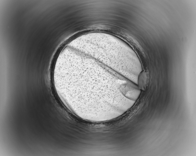 X0000094330784200711301227